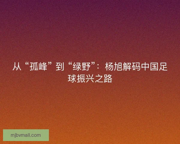 从 “孤峰” 到 “绿野”：杨旭解码中国足球振兴之路