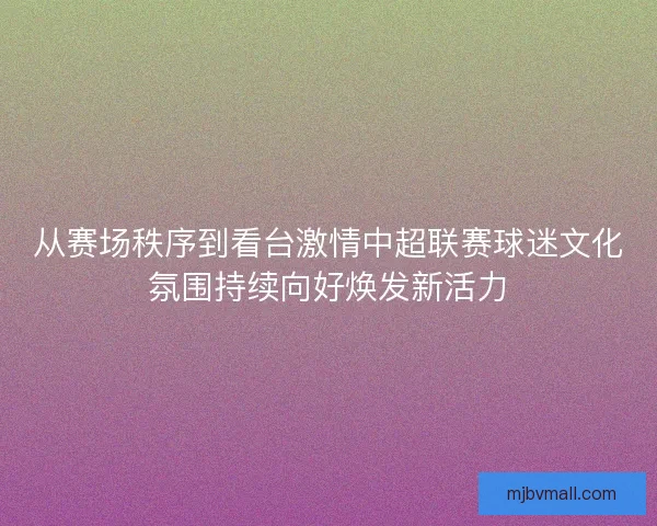从赛场秩序到看台激情中超联赛球迷文化氛围持续向好焕发新活力