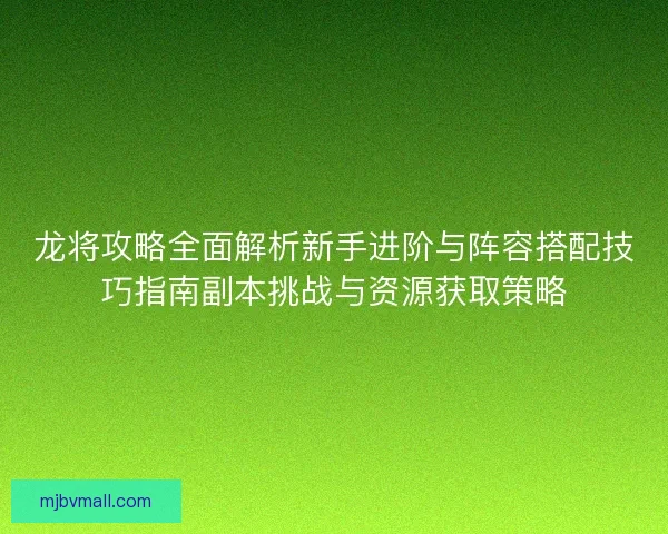 龙将攻略全面解析新手进阶与阵容搭配技巧指南副本挑战与资源获取策略