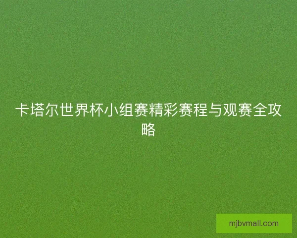 卡塔尔世界杯小组赛精彩赛程与观赛全攻略 卡塔尔世界杯小组赛精彩赛程与观赛全攻略